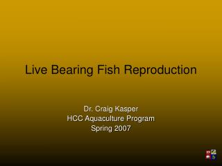 Live Bearing Fish Reproduction