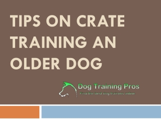Tips on Crate Training an Older Dog
