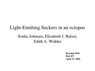 Light-Emitting Suckers in an octopus