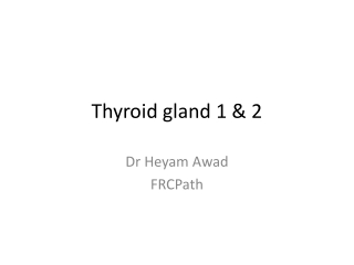 Thyroid gland 1 &amp; 2