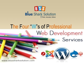 The four Ws of professional web development services: