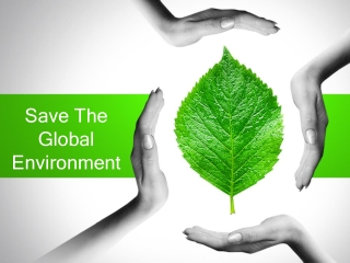 Save The Global Environment