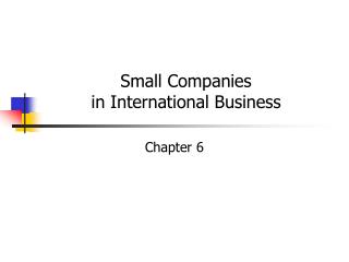 Small Companies in International Business