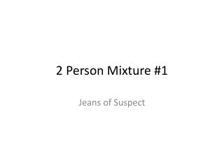 2 Person Mixture #1