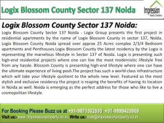 Logix Blossom County