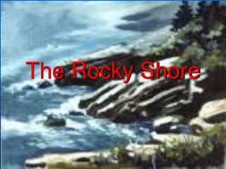 The Rocky Shore