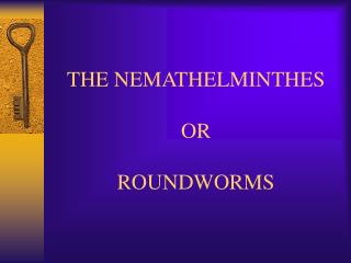 THE NEMATHELMINTHES OR ROUNDWORMS