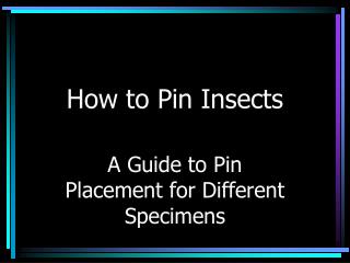 How to Pin Insects
