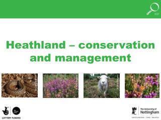 Heathland – conservation and management