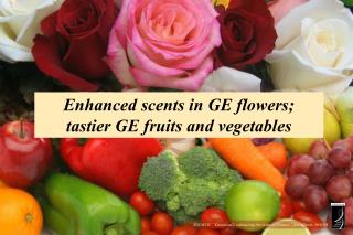 Enhanced scents in GE flowers; tastier GE fruits and vegetables