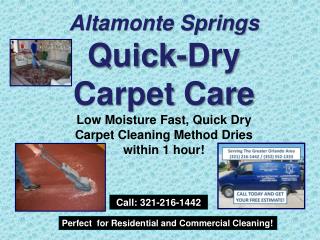 Lake Mary Discount Carpet Cleaner 321-216-1442