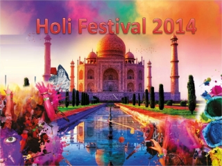Holi Festival 2014