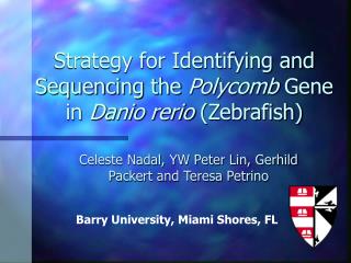 Strategy for Identifying and Sequencing the Polycomb Gene in Danio rerio (Zebrafish)