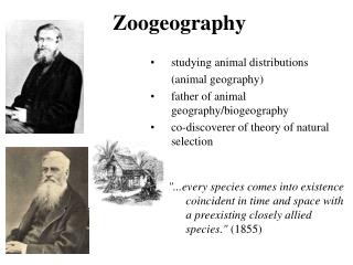 zoogeography fishes realms ppt powerpoint presentation studying faunal taxon europe africa animal much north