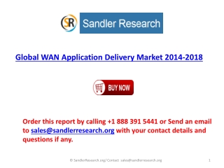 WAN Application Delivery Present Scenario and the Growth Pro