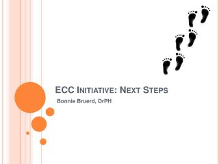 ECC Initiative: Next Steps