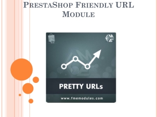 Advance PrestaShop SEO Clean URL Plug-in by FMM