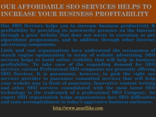 Our affordable SEO Services helps to increase your business