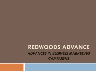 Redwoods Advance Singapore excels in business marketing