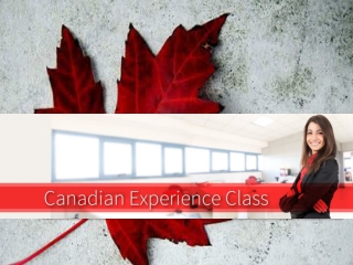 "How Can I Qualify Under Canadian Experience Class When Immi