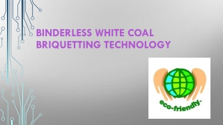 Binderless White Coal Briquetting Technology