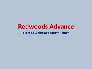 Redwoods Advance Singapore - Career Advancement Chart