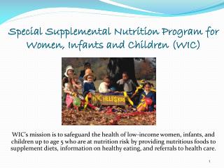 PPT - Women, Infants And Children WIC Overseas PowerPoint Presentation ...