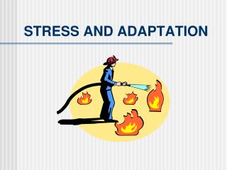 PPT - The Theory Of Family Stress And Adaptation McCubbin And Patterson ...