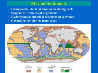 marine sediments ppt powerpoint presentation remains reactions seawater debris existing organisms derived chemical rock pre