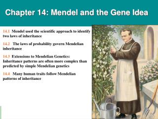 Ppt Chapter Mendel And The Gene Idea Powerpoint Presentation