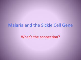 an analysis of the connection between the sickle cell gene and the spread of malaria an analysis of the connection between the sickle cell gene and the spread of malaria