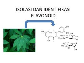 PPT - FLAVONOID PowerPoint Presentation - ID:5415417