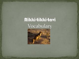 Rikki-Tikki-Tavi Critical Essays