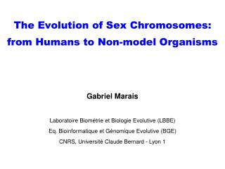 PPT The Evolution Of Sex Chromosomes From Humans To Non Model