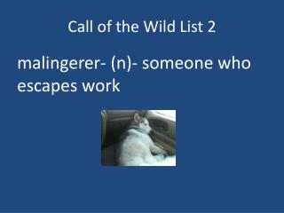free download call of the wild beginner guide