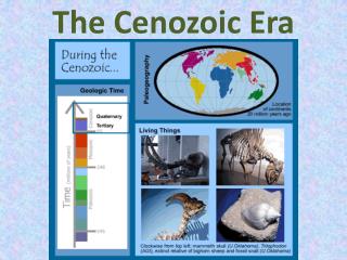 PPT - The Cenozoic Era PowerPoint Presentation - ID:717572