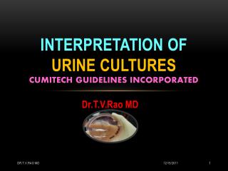 Interpretation of Urine Cultures