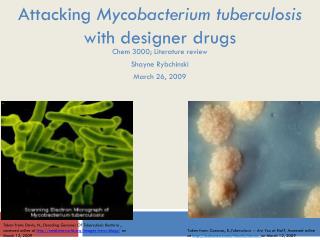 mycobacterium marinum treatment literature review The only cause of infection with mycobacterium marinum in iran is aquarium and its presence anti-mycobacterium treatment should be started promptly with three cases that we found in literature review about the cases reported from iran. mycobacterium marinum treatment literature review The only cause of infection with mycobacterium marinum in iran is aquarium and its presence anti-mycobacterium treatment should be started promptly with three cases that we found in literature review about the cases reported from iran.