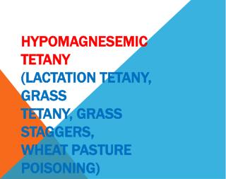 what causes grass staggers in cows