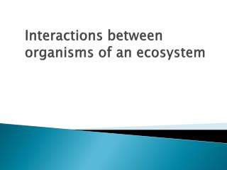 organisms between ecosystem interactions interact presentation depend another species mutualism ppt powerpoint parasitism closely commensalism types together three two live