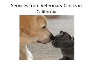 Services from Veterinary Clinics in California