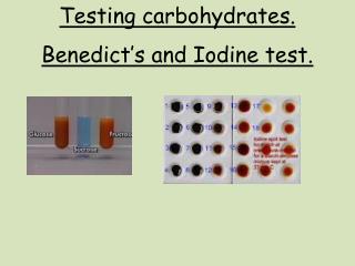 PPT - Testing Carbohydrates. Benedict’s And Iodine Test. PowerPoint ...