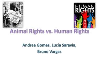 essay on animal rights vs human rights Animal rights, or animal liberation, is the movement to protect animals from being used or regarded as property by human beings it is a radical social movement, insofar as it aims not merely to attain more humane treatment for animals. essay on animal rights vs human rights Animal rights, or animal liberation, is the movement to protect animals from being used or regarded as property by human beings it is a radical social movement, insofar as it aims not merely to attain more humane treatment for animals.