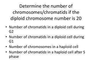 Ppt Determine The Number Of Chromosomes Chromatids If The Diploid