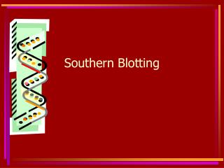 south eastern blotting