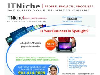 Memphis Website Design and Development Company - IT Niche