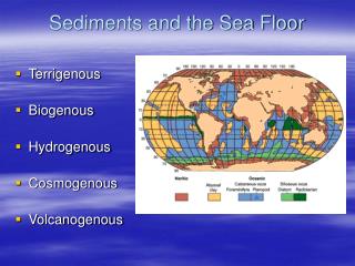 sediments carbonate depositional facies terrigenous