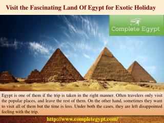 Visit the Fascinating Land Of Egypt for Exotic Holiday