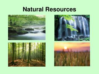 PPT - Natural Resources PowerPoint Presentation - ID:2658813