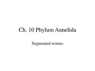 phylum annelida ch earthworm powerpoint bachyen sections segmented segments worms segmentation anterior divisions external end body